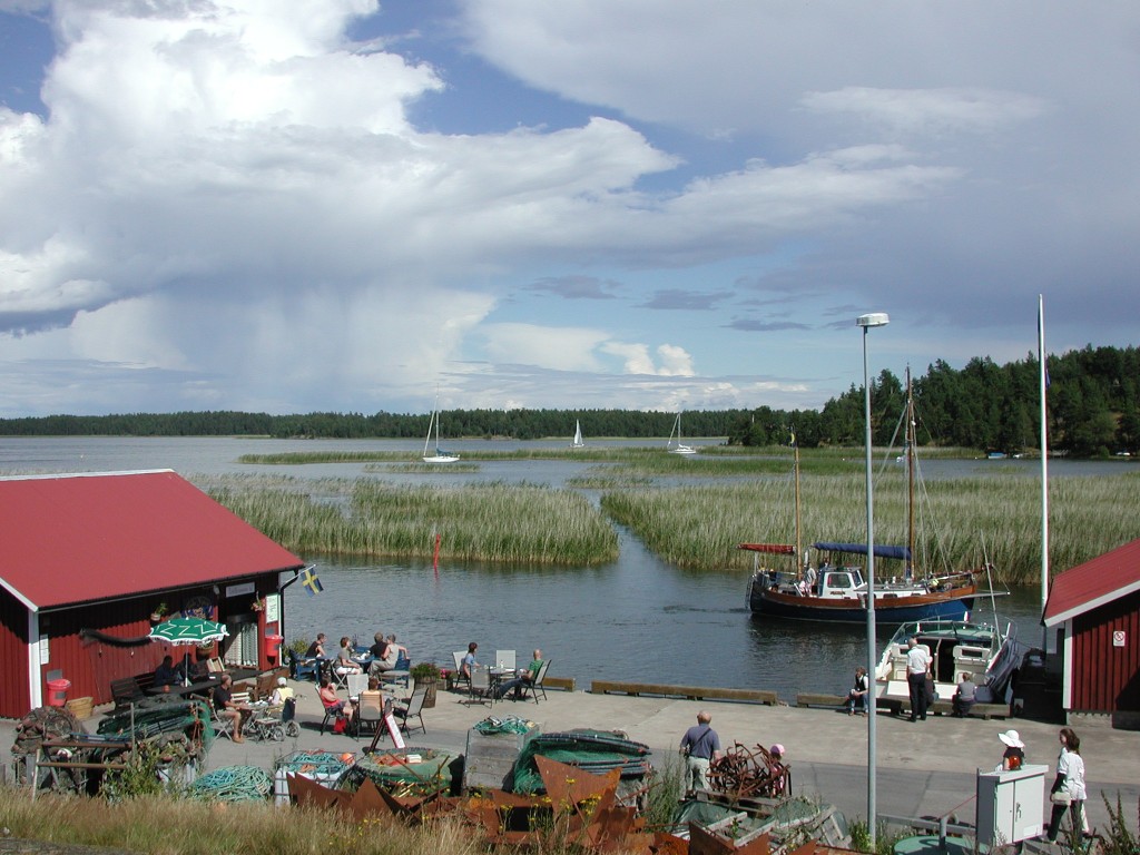 DSCN8294.jpg