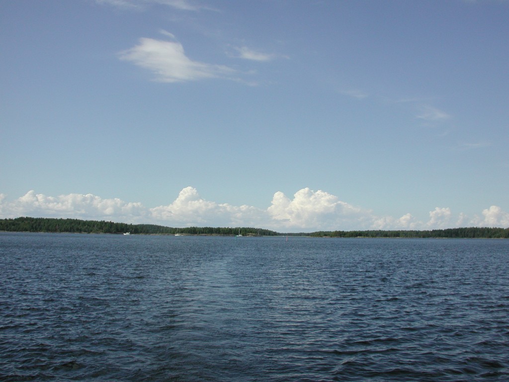 DSCN8332.jpg