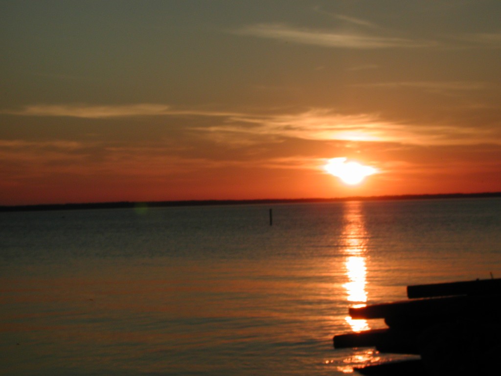 DSCN8459.jpg