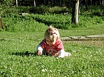 DSCN8050.jpg