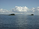 DSCN8223.jpg