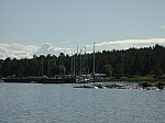 DSCN8235.jpg