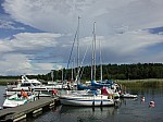 DSCN8287.jpg