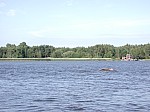 DSCN8343.jpg