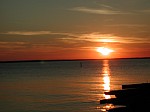 DSCN8459.jpg