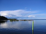 IMG_9071.jpg