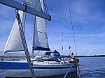 IMG_9223.jpg
