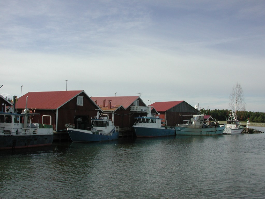 DSCN0007.jpg