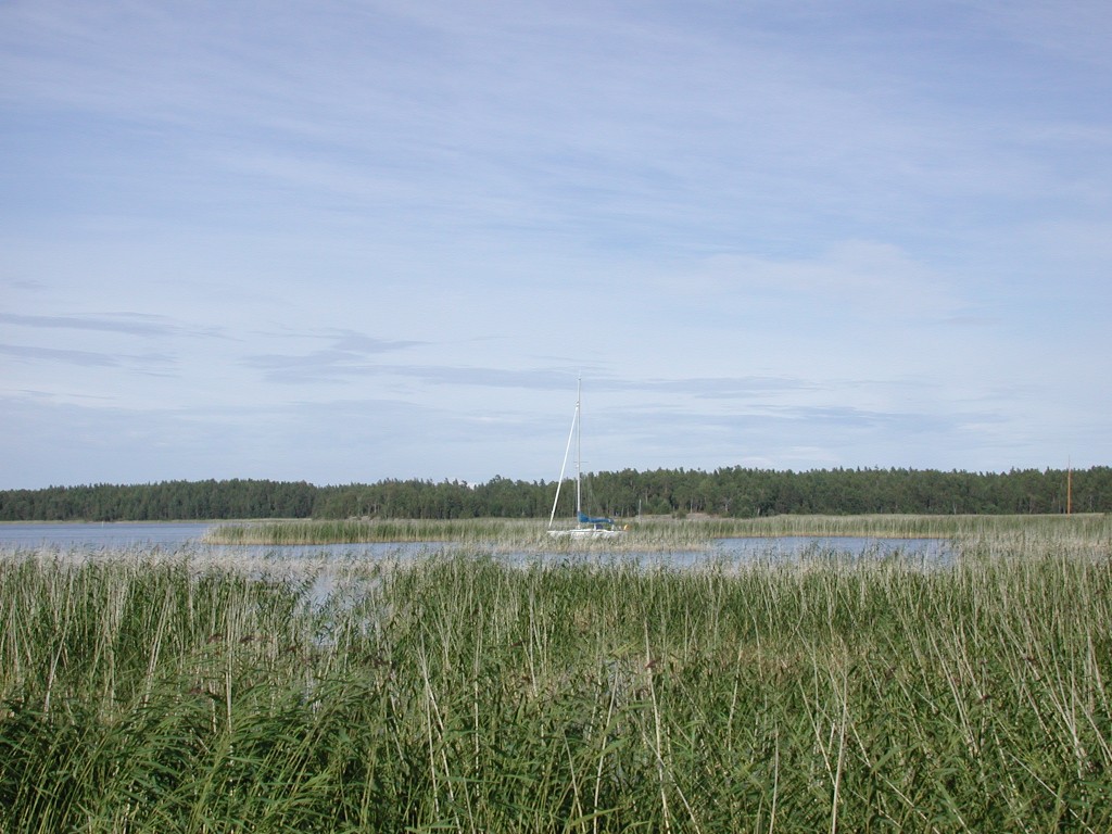 DSCN0008.jpg