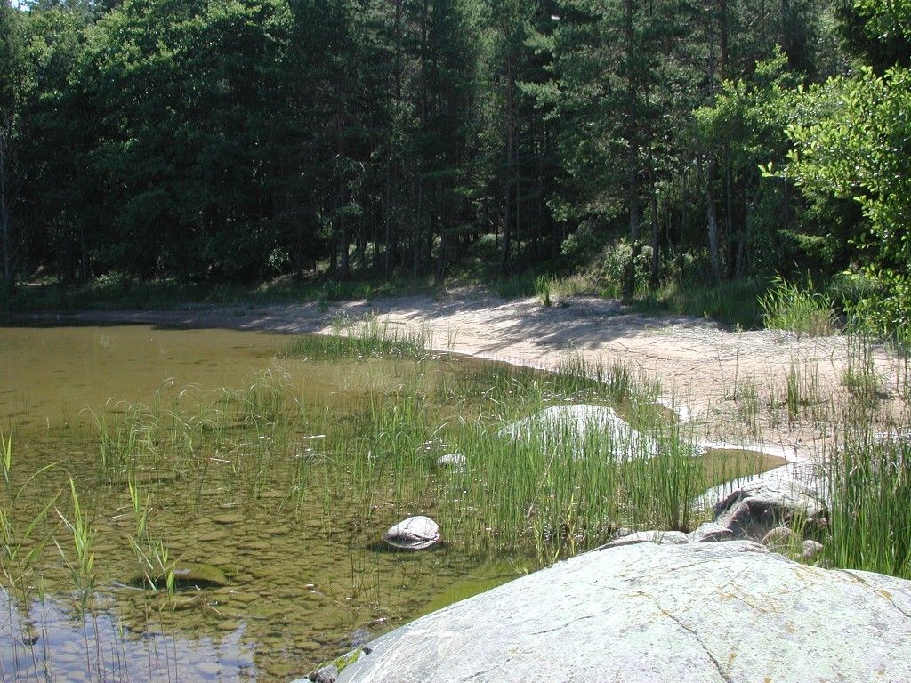 DSCN0024.jpg