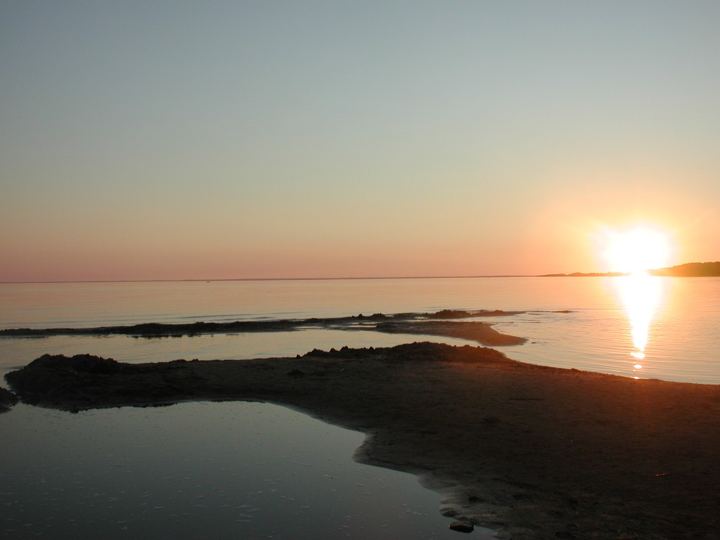 DSCN0350.jpg