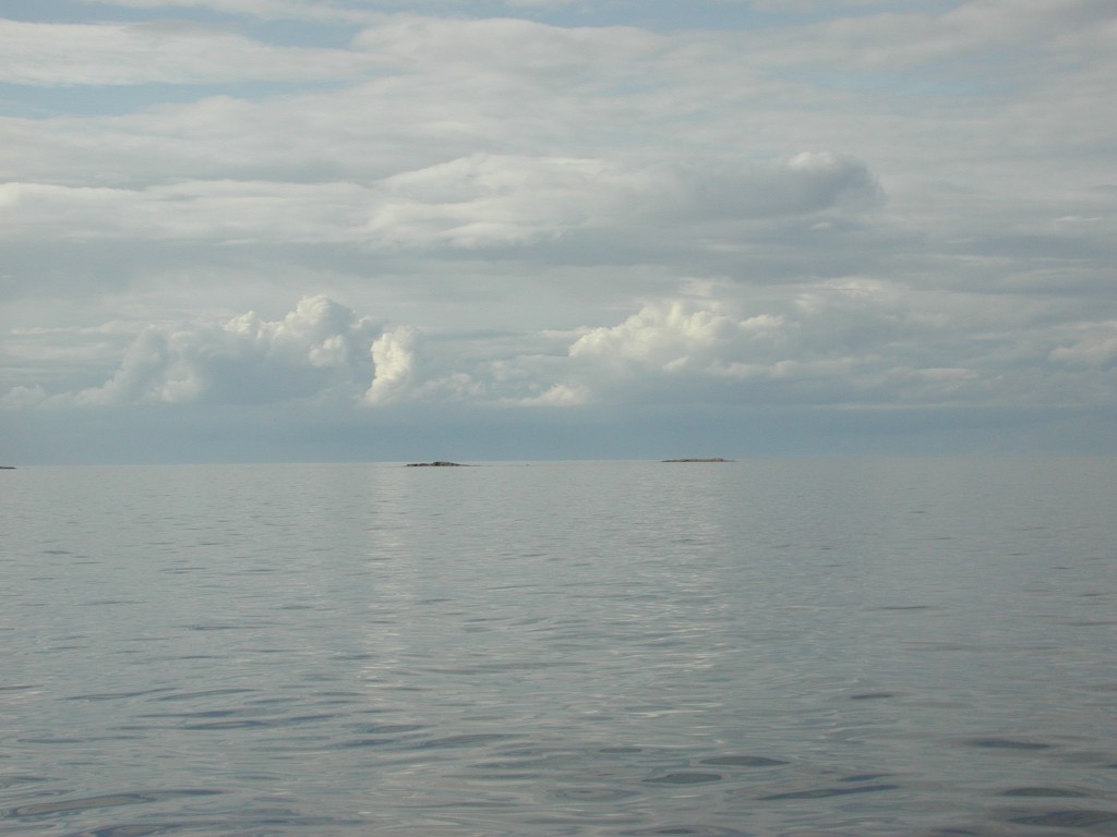 DSCN9882.jpg