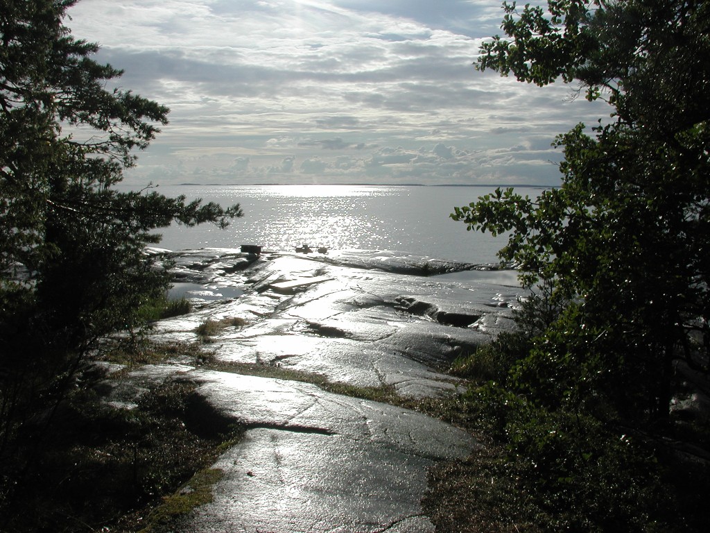 DSCN9887.jpg