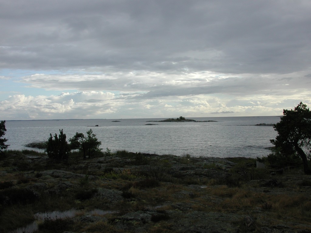 DSCN9933.jpg