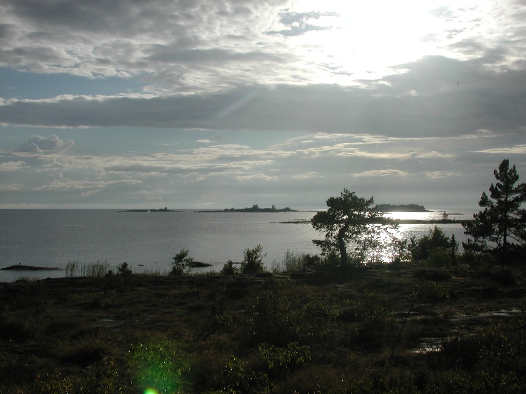 DSCN9944.jpg
