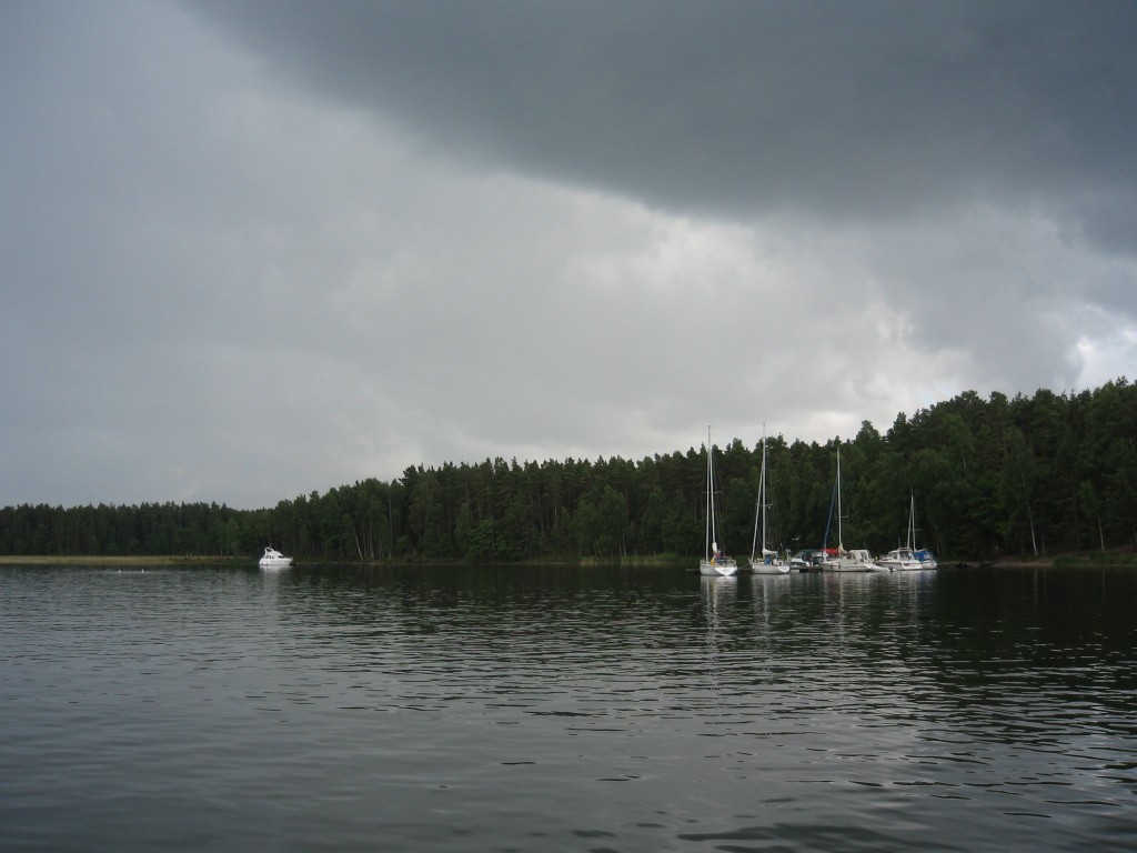IMG_5662.jpg