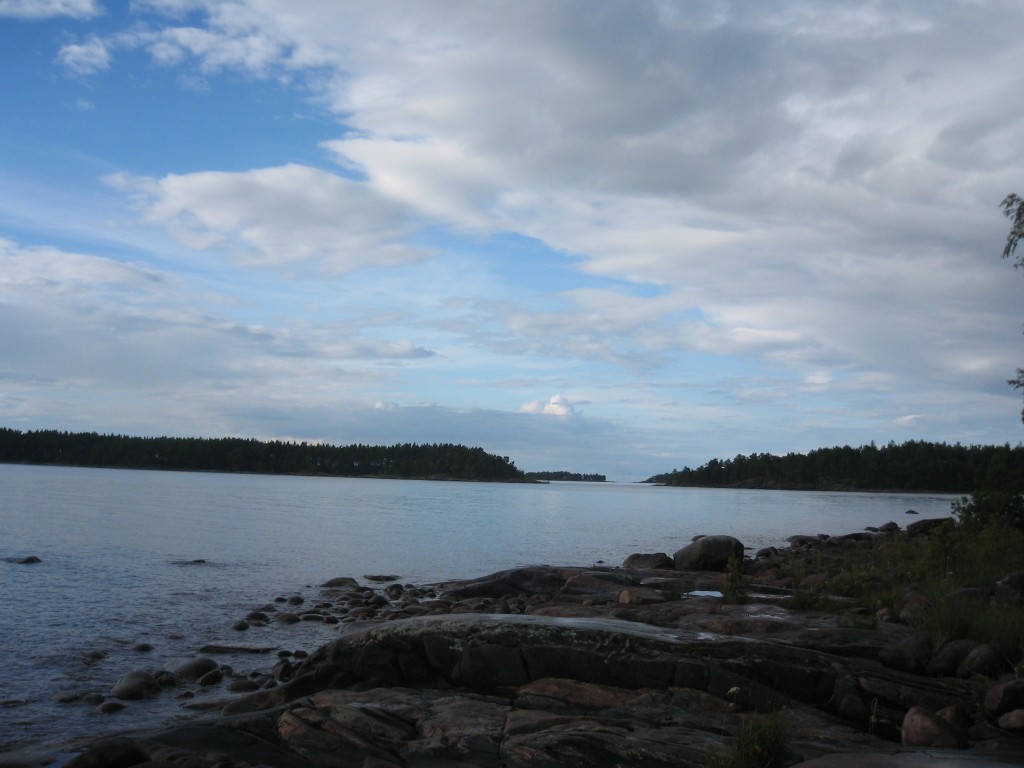 IMG_5678.jpg
