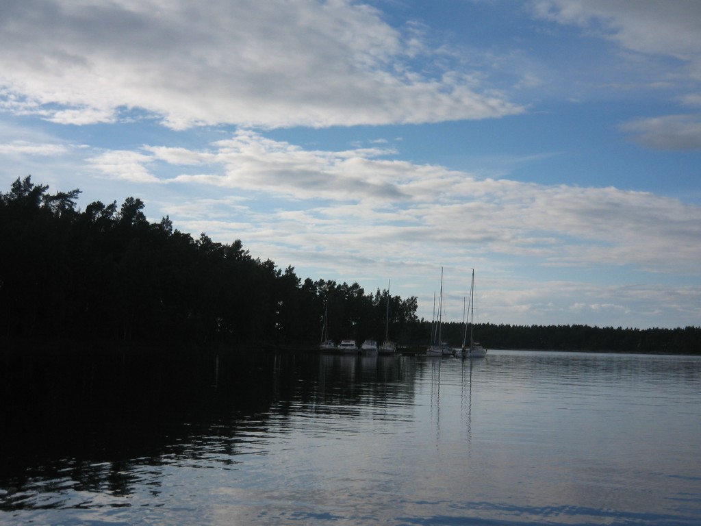 IMG_5679.jpg