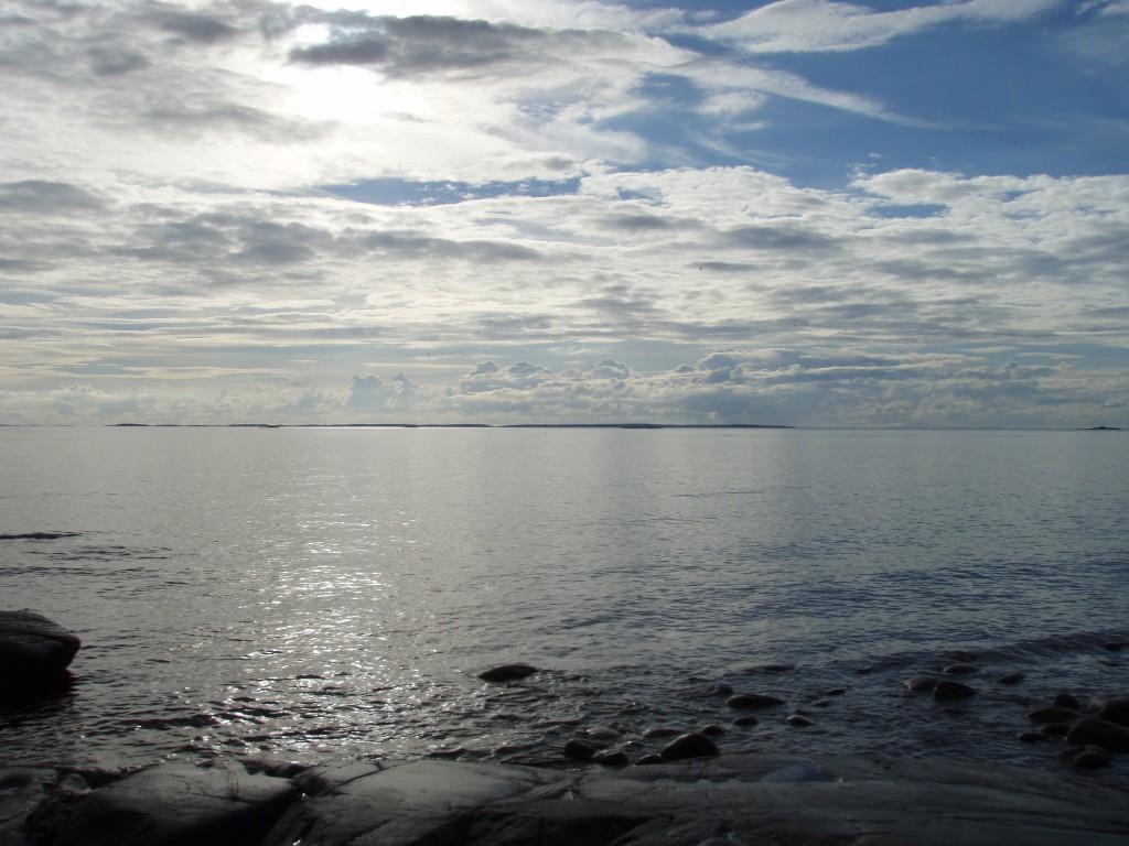 P7180321.jpg