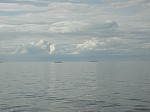 DSCN9882.jpg
