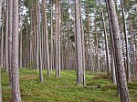 DSCN9886.jpg