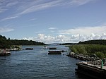 DSCN9982.jpg