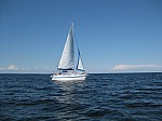 IMG_0165.jpg