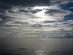 IMG_5676.jpg