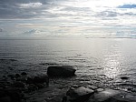 IMG_5677.jpg