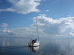 IMG_5726.jpg