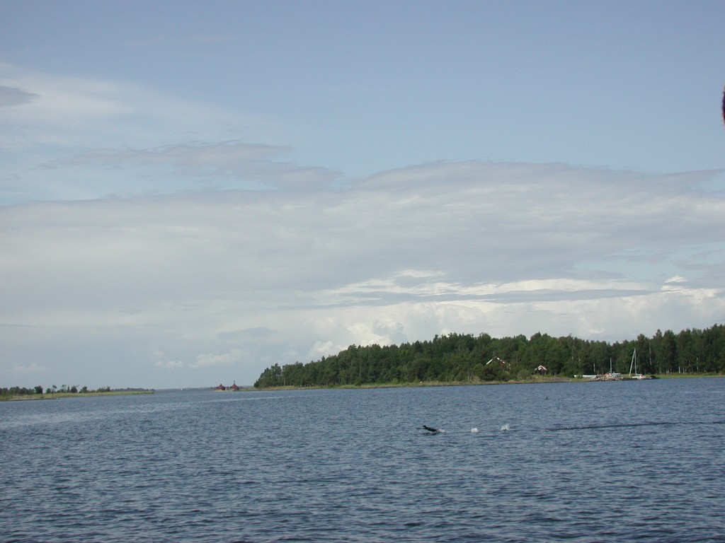 DSCN0966.jpg