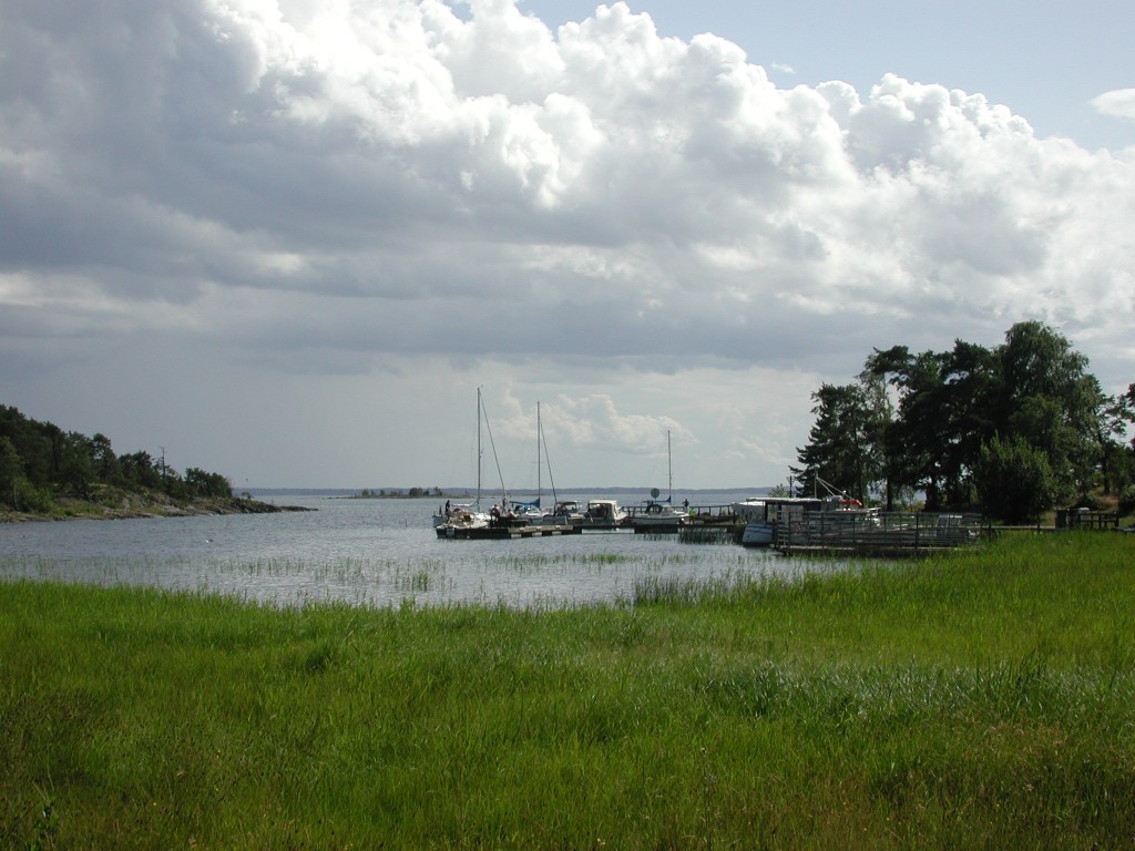 DSCN0989.jpg
