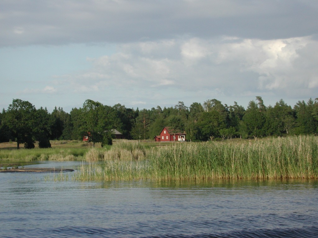 DSCN1025.jpg
