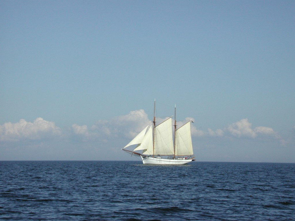 DSCN1102.jpg