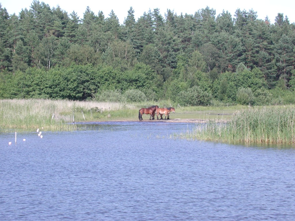 DSCN1111.jpg