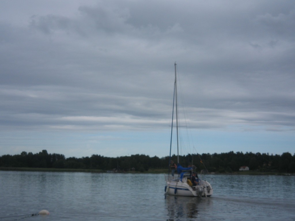 IMG_6529.jpg