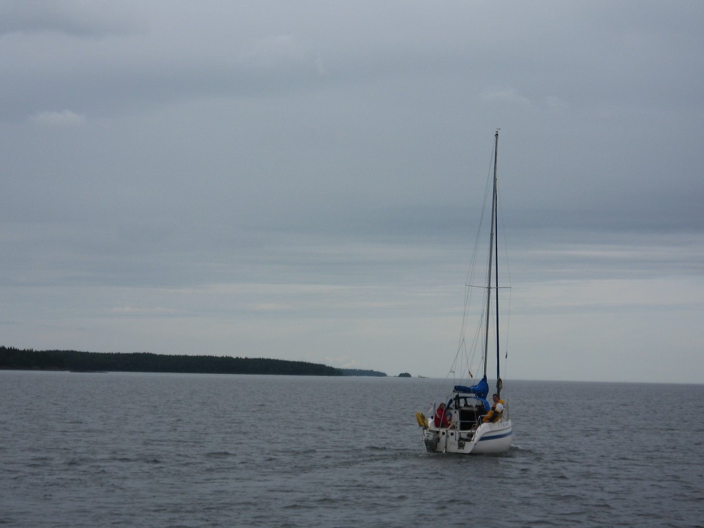 IMG_6535.jpg
