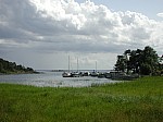 DSCN0989.jpg