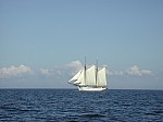 DSCN1102.jpg