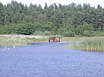 DSCN1111.jpg