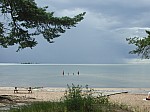 DSCN1308.jpg