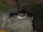 DSCN1332.jpg