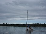 IMG_6529.jpg